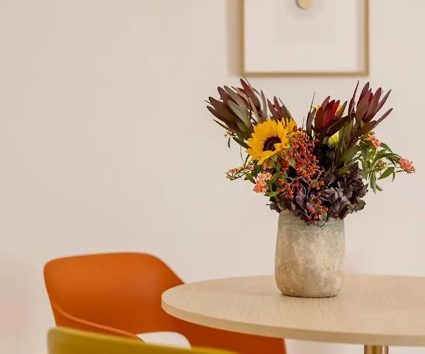 Serviced - Estrela *